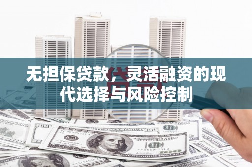 金阳无担保贷款，灵活融资的现代选择与风险控制