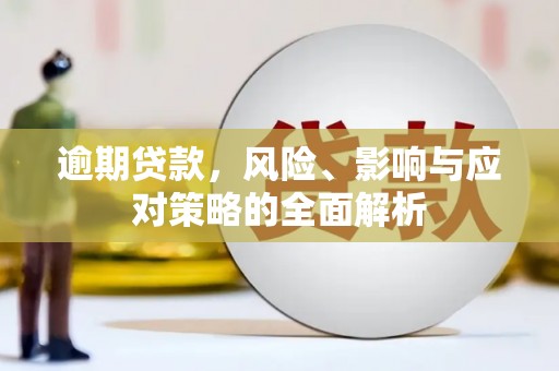 金阳逾期贷款，风险、影响与应对策略的全面解析
