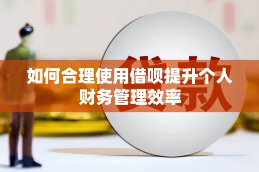 金阳如何合理使用借呗提升个人财务管理效率