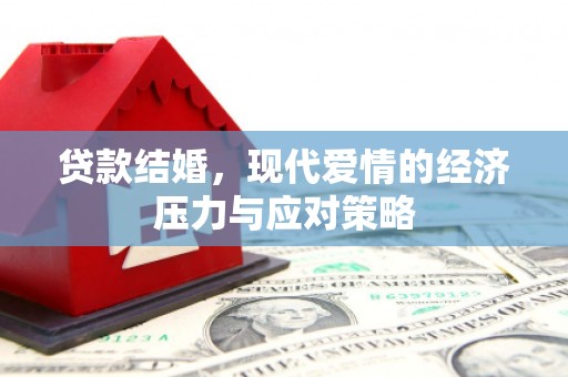 金阳贷款结婚，现代爱情的经济压力与应对策略