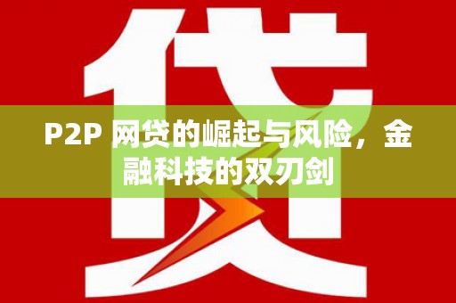 金阳P2P 网贷的崛起与风险，金融科技的双刃剑
