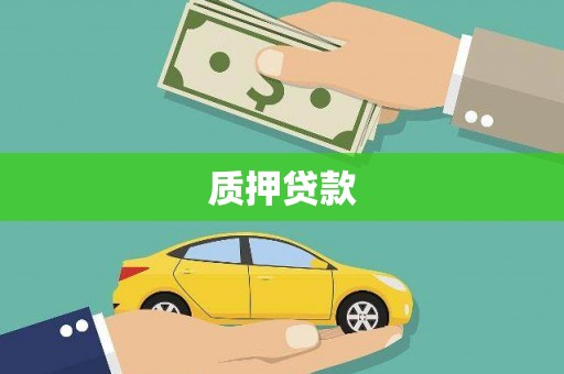 金阳质押贷款