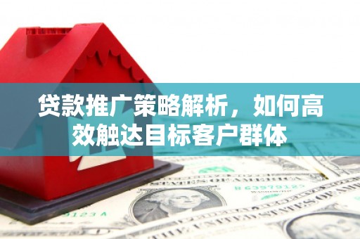 金阳贷款推广策略解析，如何高效触达目标客户群体