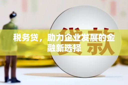 金阳税务贷，助力企业发展的金融新选择