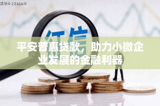 金阳平安普惠贷款，助力小微企业发展的金融利器