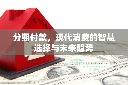 金阳分期付款，现代消费的智慧选择与未来趋势