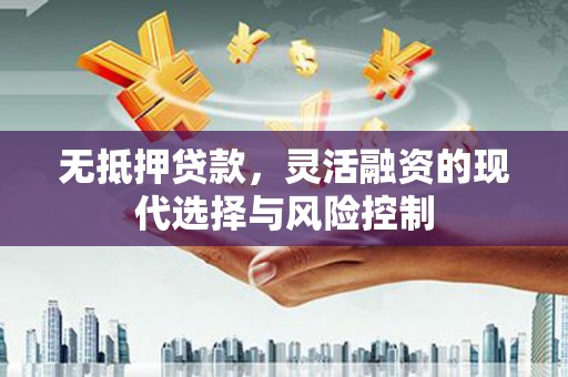 金阳无抵押贷款，灵活融资的现代选择与风险控制