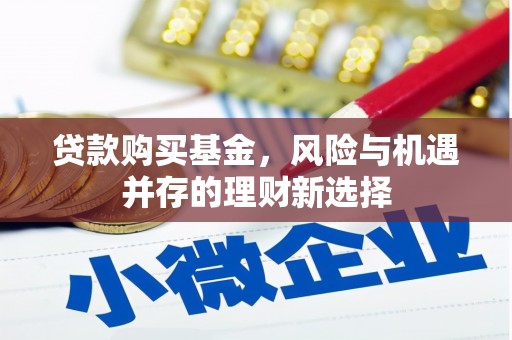 金阳贷款购买基金，风险与机遇并存的理财新选择