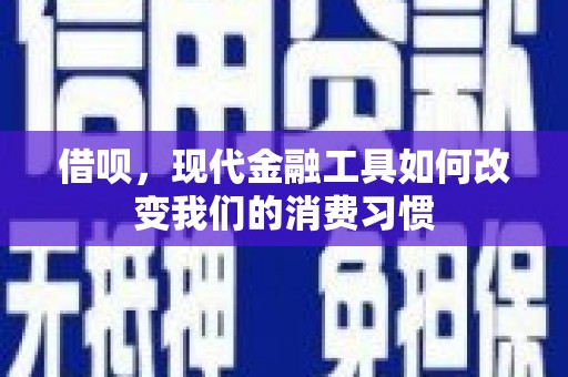 金阳借呗，现代金融工具如何改变我们的消费习惯