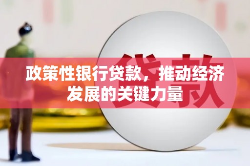 金阳政策性银行贷款，推动经济发展的关键力量