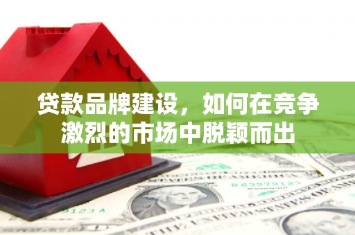金阳贷款品牌建设，如何在竞争激烈的市场中脱颖而出