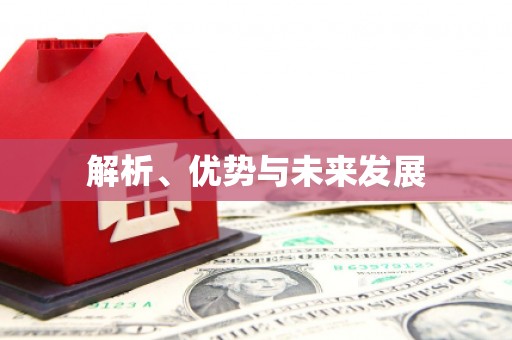 金阳解析、优势与未来发展