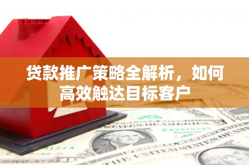 金阳贷款推广策略全解析，如何高效触达目标客户
