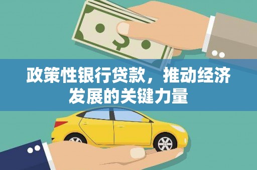 金阳政策性银行贷款，推动经济发展的关键力量