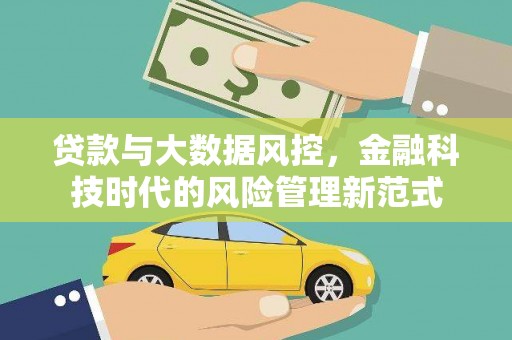 金阳贷款与大数据风控，金融科技时代的风险管理新范式