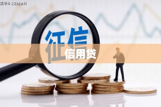 金阳信用贷