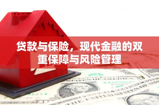 金阳贷款与保险，现代金融的双重保障与风险管理