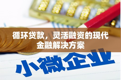 金阳循环贷款，灵活融资的现代金融解决方案