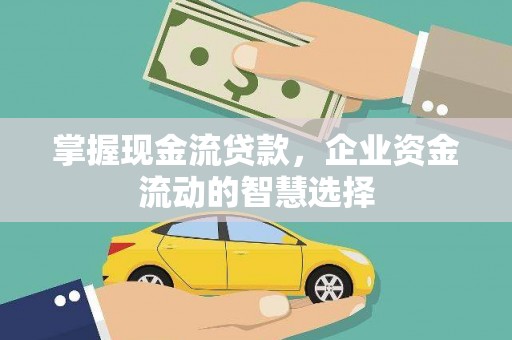 金阳掌握现金流贷款，企业资金流动的智慧选择