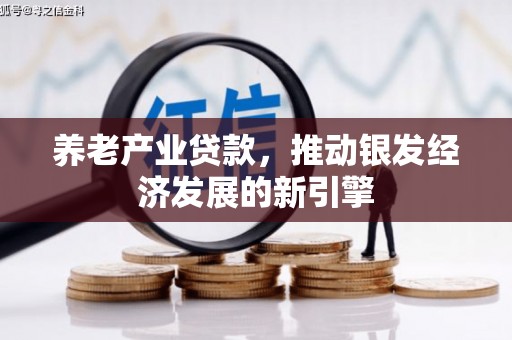 金阳养老产业贷款，推动银发经济发展的新引擎