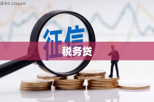 金阳税务贷