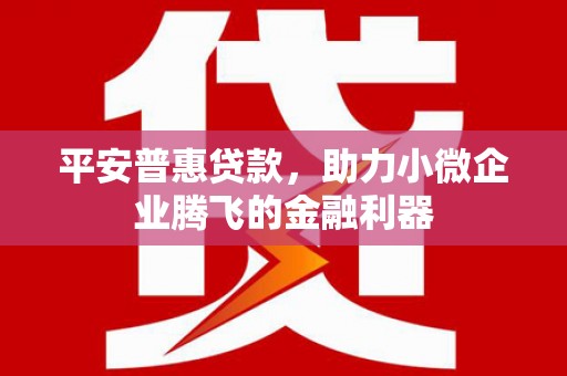 金阳平安普惠贷款，助力小微企业腾飞的金融利器