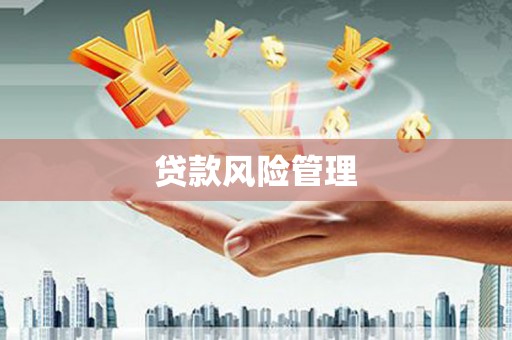 金阳贷款风险管理