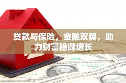 金阳贷款与保险，金融双翼，助力财富稳健增长
