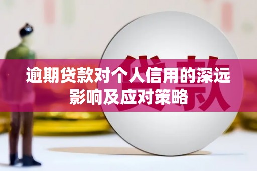 金阳逾期贷款对个人信用的深远影响及应对策略