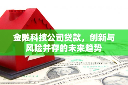 金阳金融科技公司贷款，创新与风险并存的未来趋势