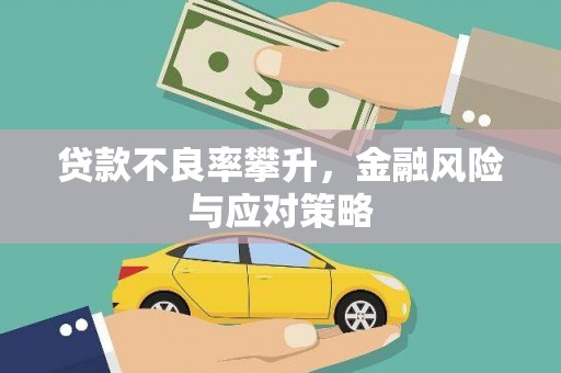 金阳贷款不良率攀升，金融风险与应对策略