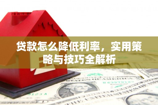 金阳贷款怎么降低利率，实用策略与技巧全解析