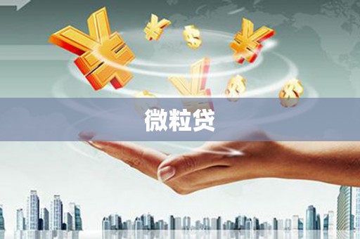 金阳微粒贷