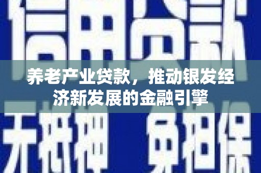 金阳养老产业贷款，推动银发经济新发展的金融引擎