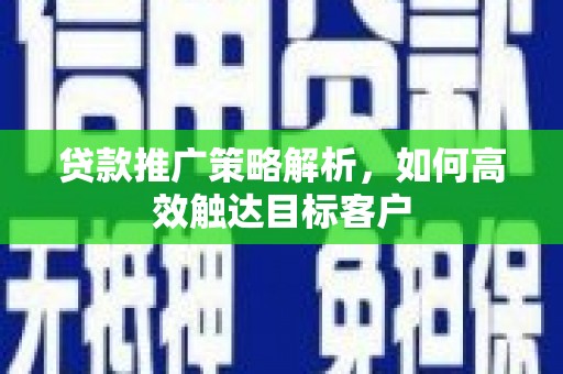 金阳贷款推广策略解析，如何高效触达目标客户