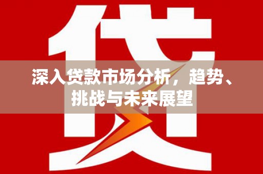 金阳深入贷款市场分析，趋势、挑战与未来展望
