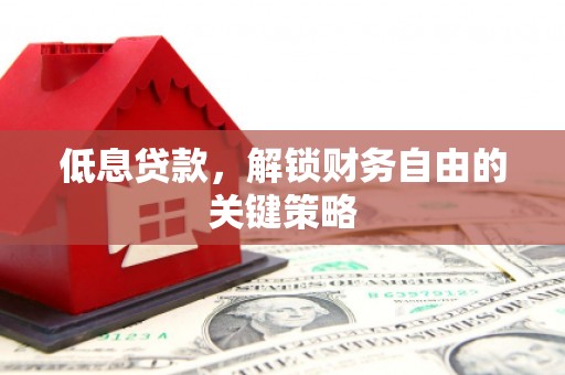 金阳低息贷款，解锁财务自由的关键策略