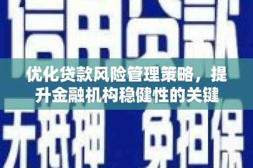 金阳优化贷款风险管理策略，提升金融机构稳健性的关键