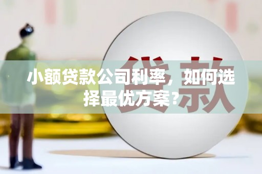 金阳小额贷款公司利率，如何选择最优方案？