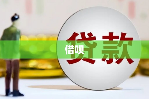 金阳借呗