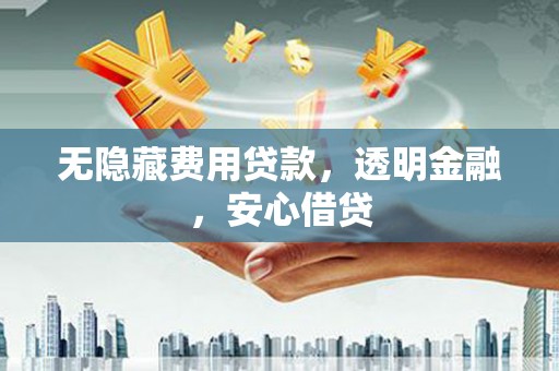 金阳无隐藏费用贷款，透明金融，安心借贷
