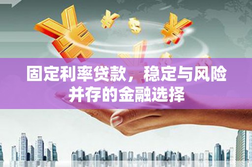 金阳固定利率贷款，稳定与风险并存的金融选择