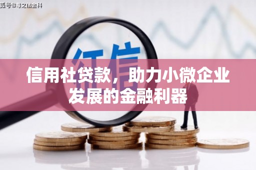 金阳信用社贷款，助力小微企业发展的金融利器