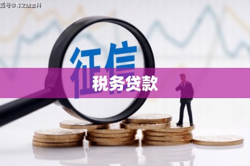 金阳税务贷款