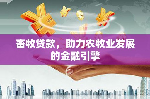 金阳畜牧贷款，助力农牧业发展的金融引擎