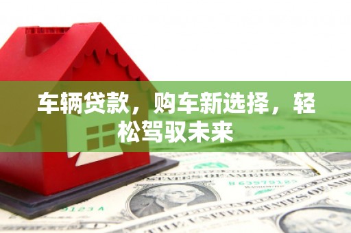 金阳车辆贷款，购车新选择，轻松驾驭未来