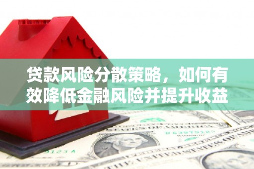 金阳贷款风险分散策略，如何有效降低金融风险并提升收益