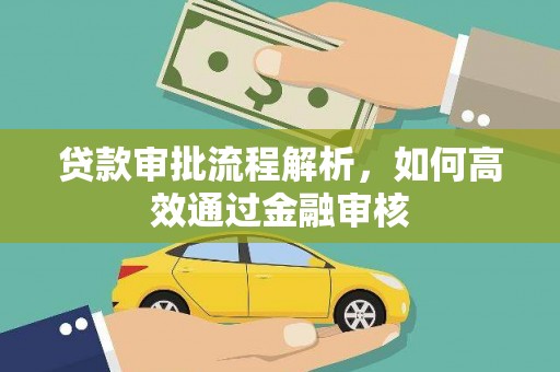 金阳贷款审批流程解析，如何高效通过金融审核