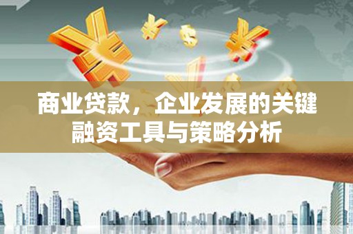 金阳商业贷款，企业发展的关键融资工具与策略分析