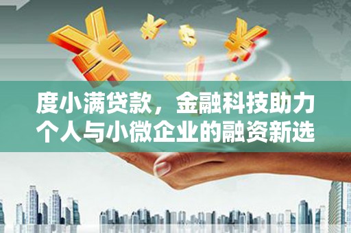金阳度小满贷款，金融科技助力个人与小微企业的融资新选择